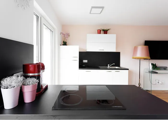 Luxury Long-term With Terrace Vienna